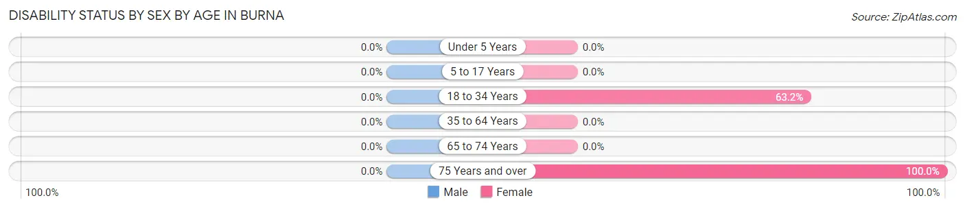 Disability Status by Sex by Age in Burna
