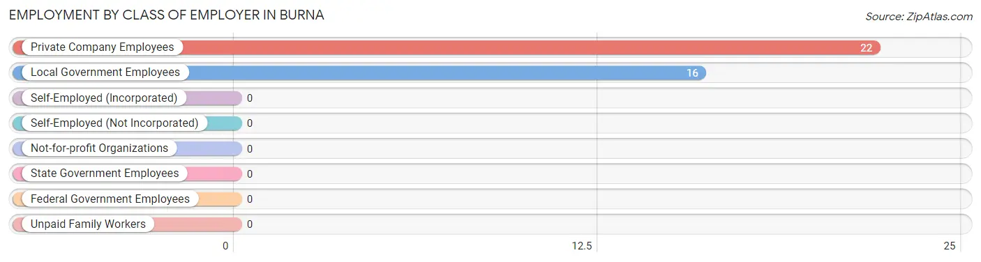 Employment by Class of Employer in Burna