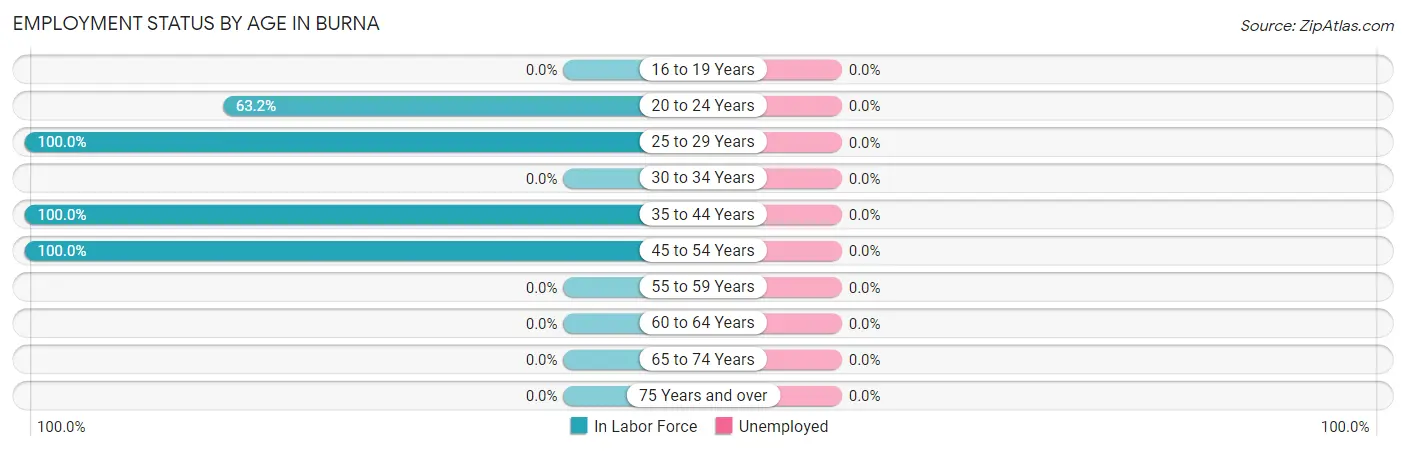 Employment Status by Age in Burna