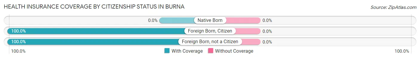 Health Insurance Coverage by Citizenship Status in Burna
