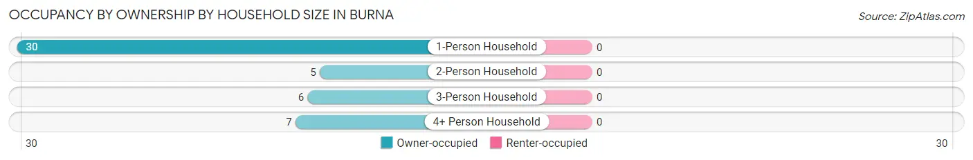 Occupancy by Ownership by Household Size in Burna