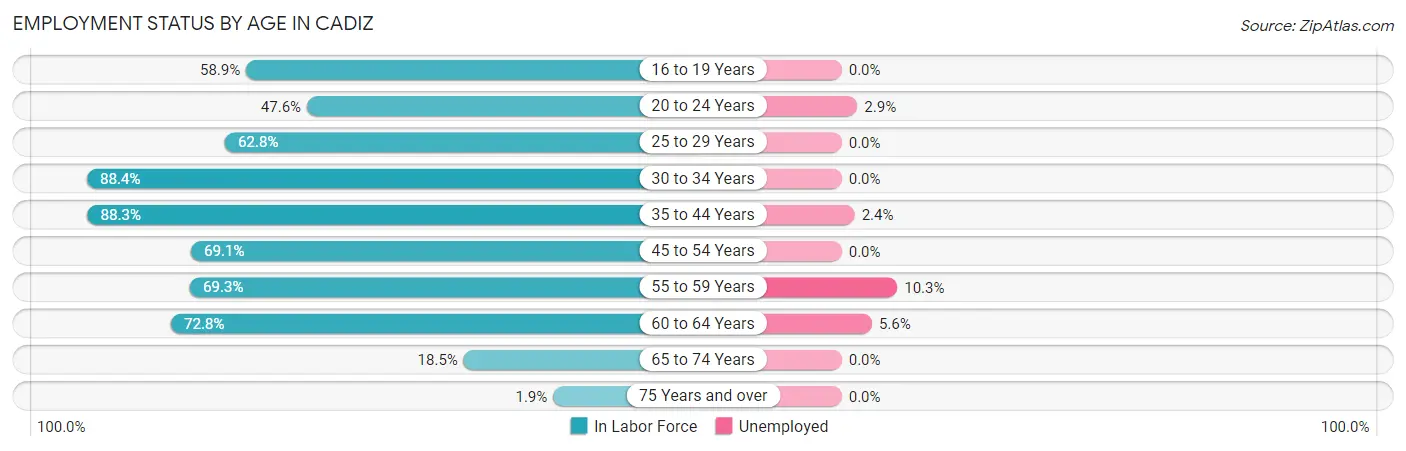 Employment Status by Age in Cadiz