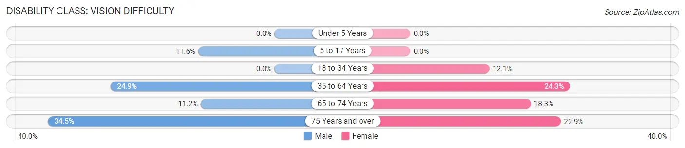 Disability in Cadiz: <span>Vision Difficulty</span>