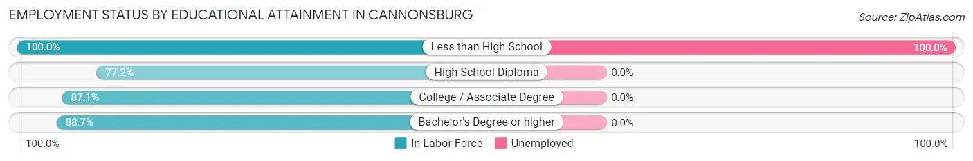 Employment Status by Educational Attainment in Cannonsburg