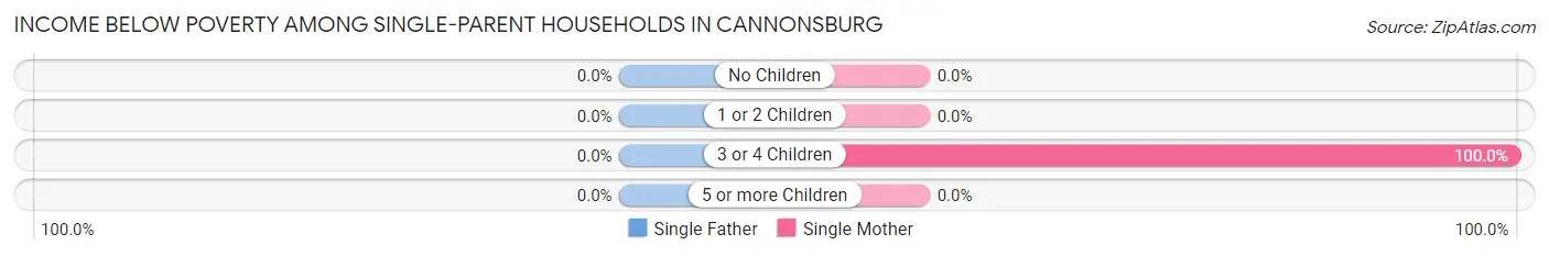 Income Below Poverty Among Single-Parent Households in Cannonsburg