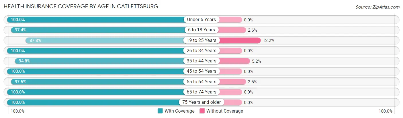 Health Insurance Coverage by Age in Catlettsburg