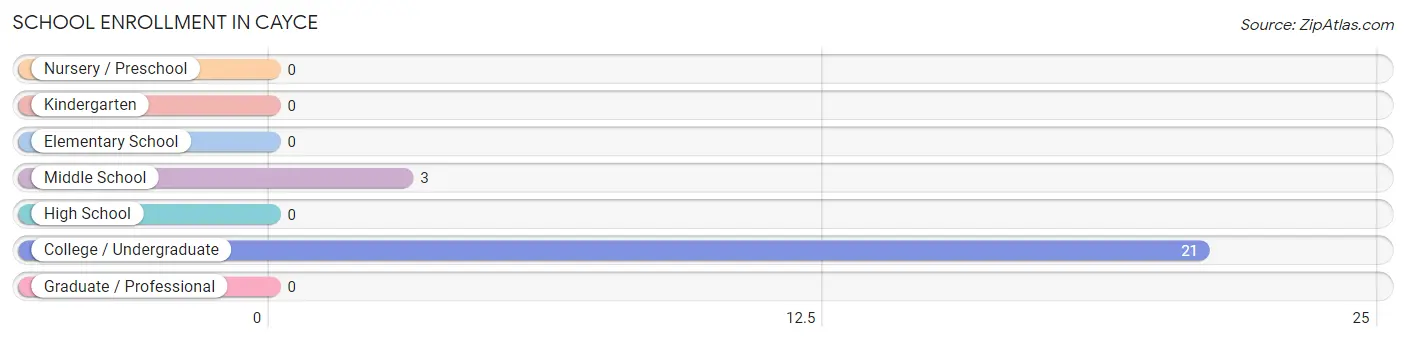 School Enrollment in Cayce