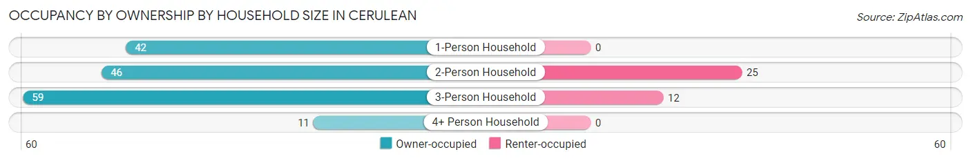 Occupancy by Ownership by Household Size in Cerulean