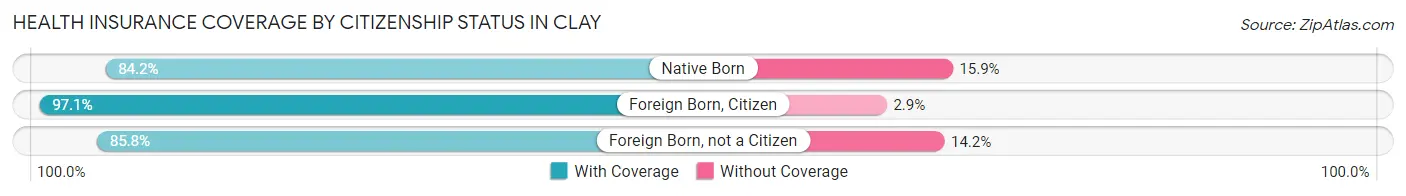 Health Insurance Coverage by Citizenship Status in Clay