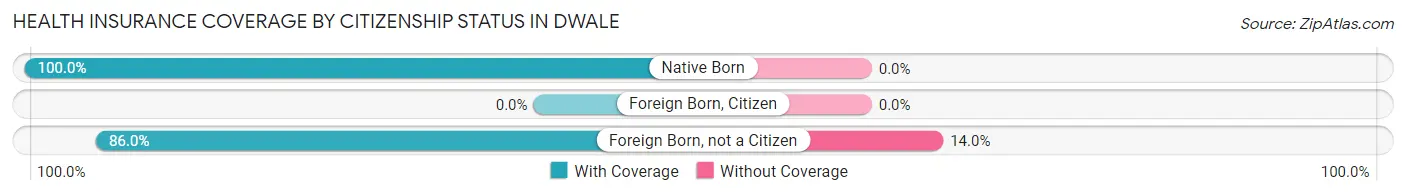 Health Insurance Coverage by Citizenship Status in Dwale