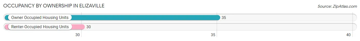 Occupancy by Ownership in Elizaville