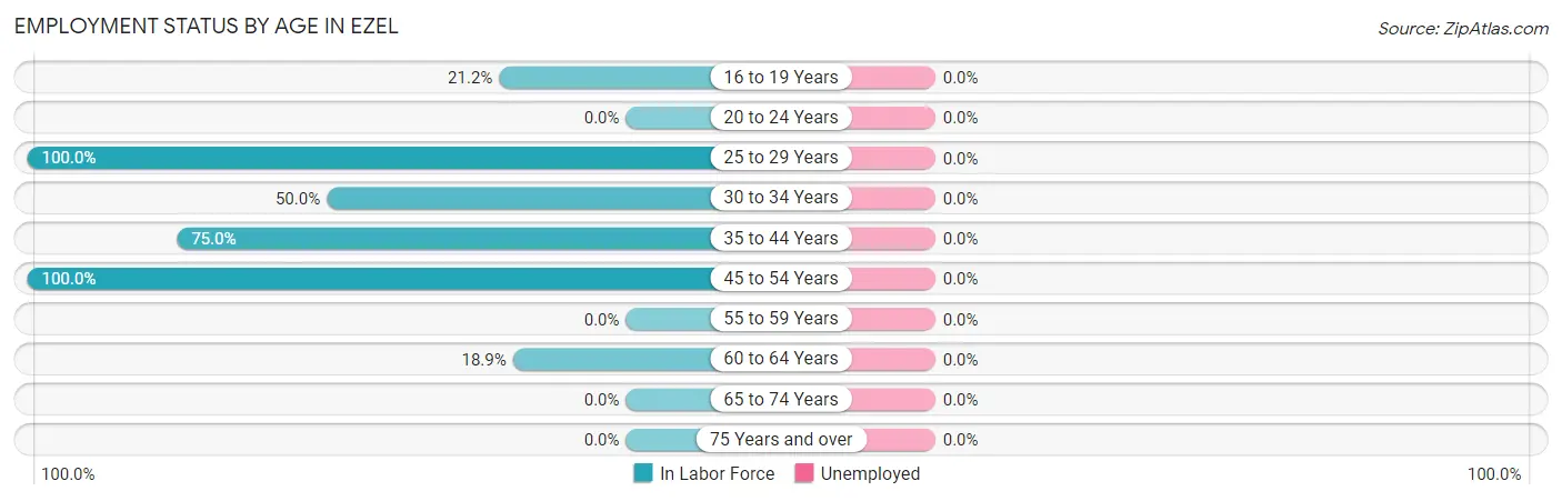 Employment Status by Age in Ezel