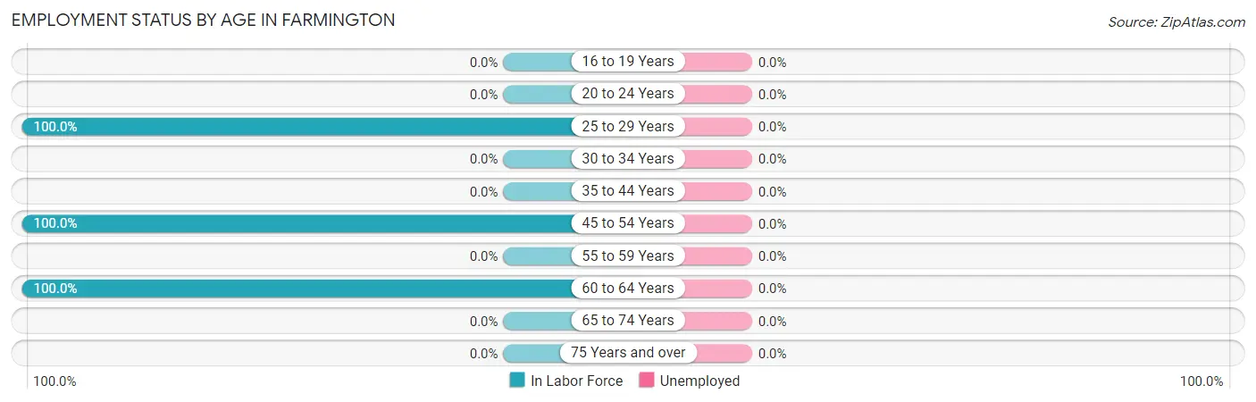 Employment Status by Age in Farmington