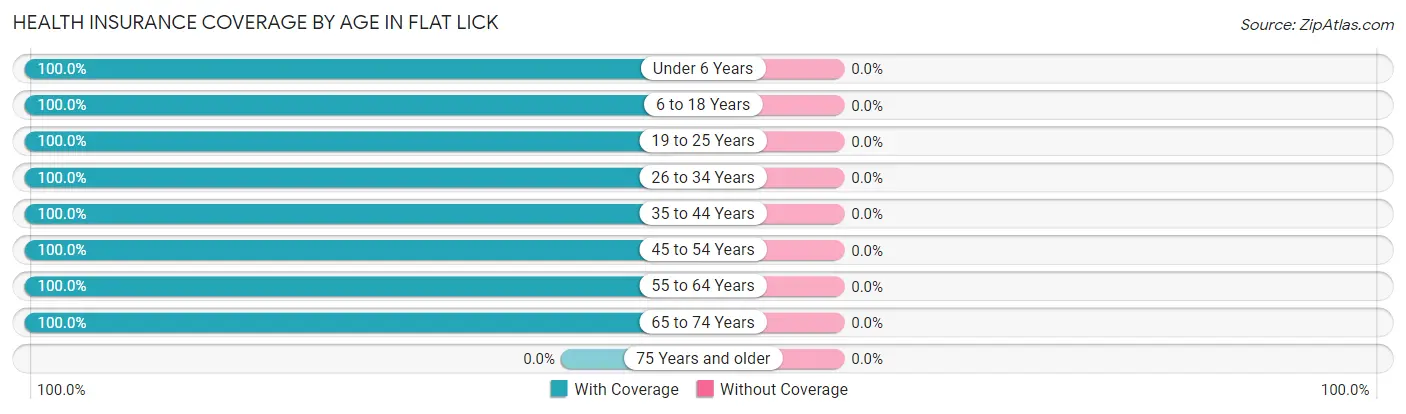 Health Insurance Coverage by Age in Flat Lick
