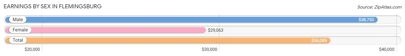 Earnings by Sex in Flemingsburg