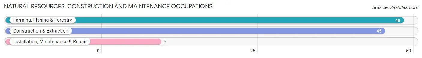 Natural Resources, Construction and Maintenance Occupations in Flemingsburg