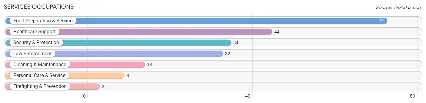 Services Occupations in Flemingsburg