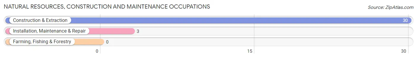 Natural Resources, Construction and Maintenance Occupations in Goshen