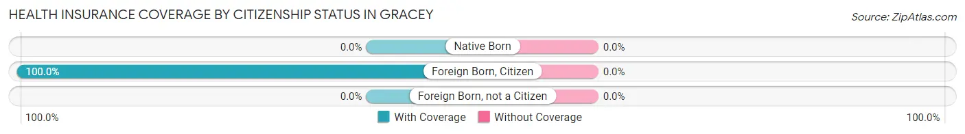 Health Insurance Coverage by Citizenship Status in Gracey