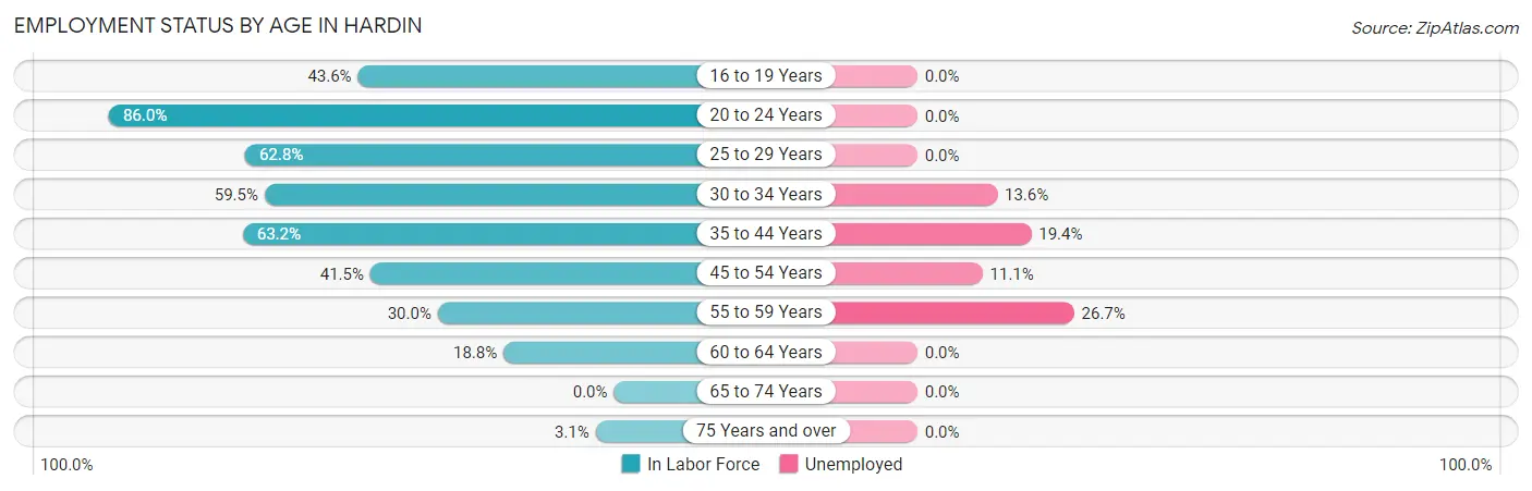 Employment Status by Age in Hardin