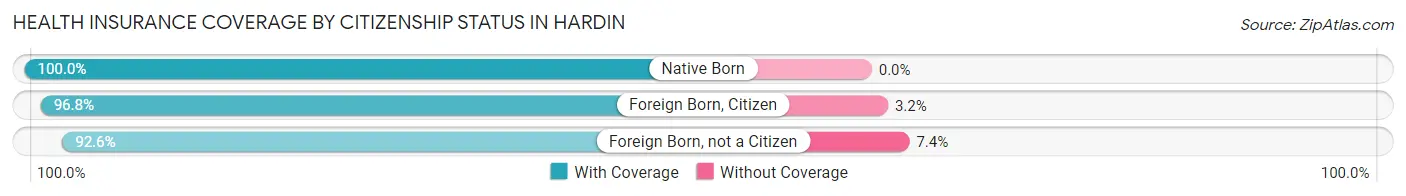 Health Insurance Coverage by Citizenship Status in Hardin