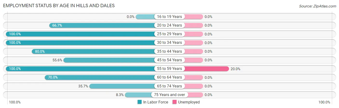 Employment Status by Age in Hills and Dales