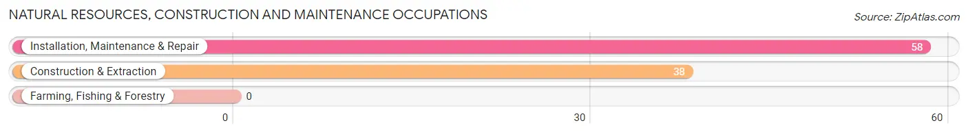 Natural Resources, Construction and Maintenance Occupations in Hodgenville