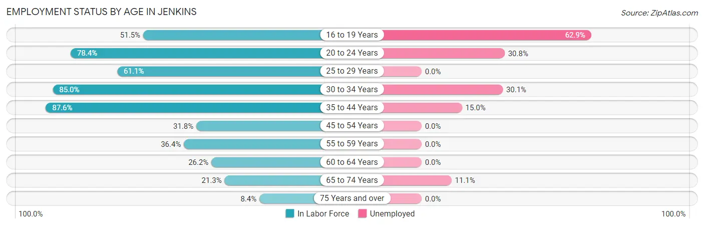 Employment Status by Age in Jenkins