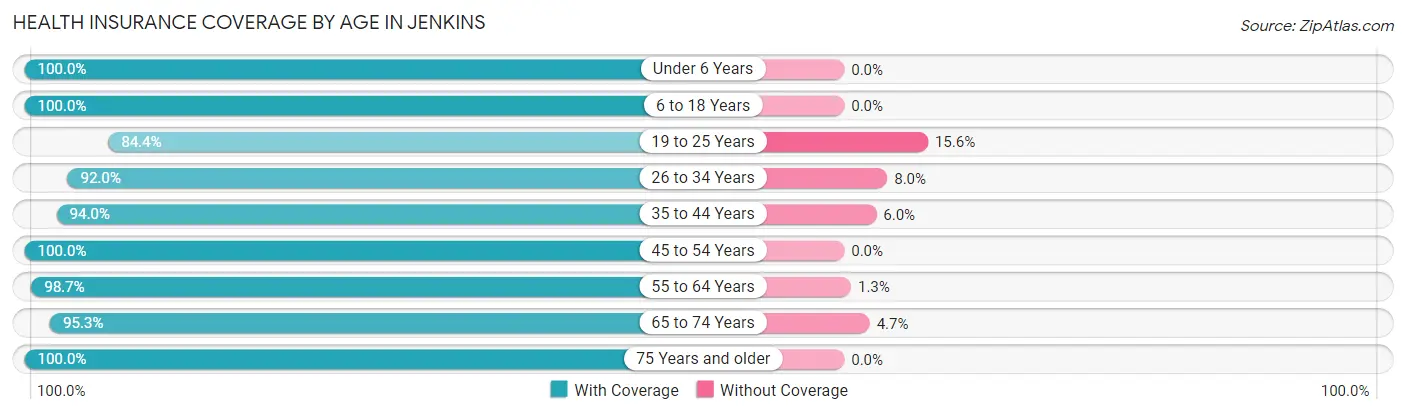 Health Insurance Coverage by Age in Jenkins