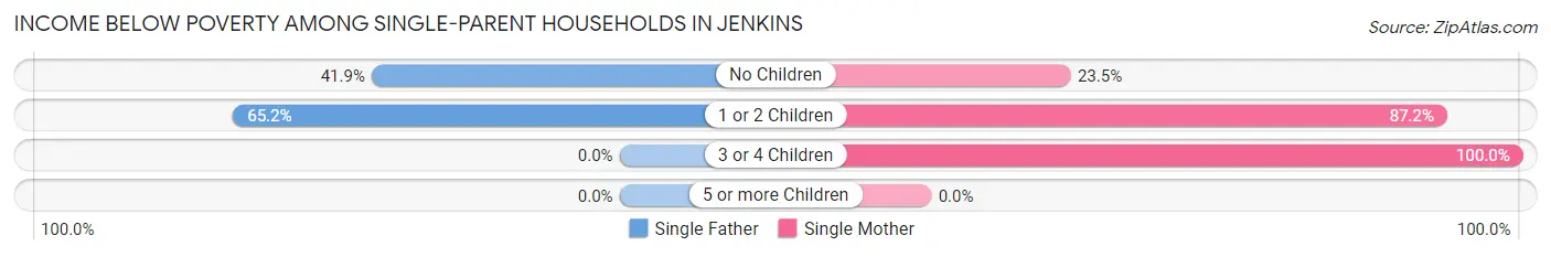 Income Below Poverty Among Single-Parent Households in Jenkins