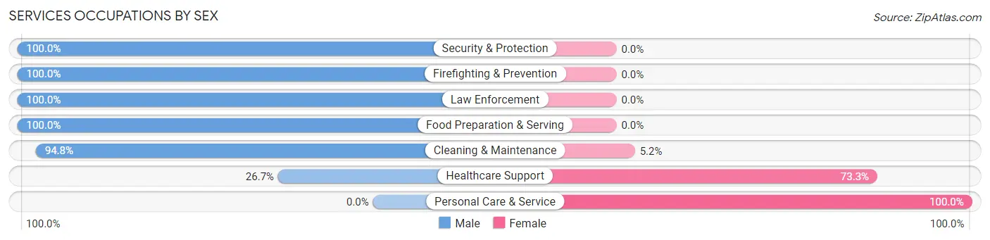 Services Occupations by Sex in Jenkins