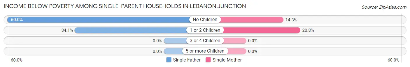 Income Below Poverty Among Single-Parent Households in Lebanon Junction