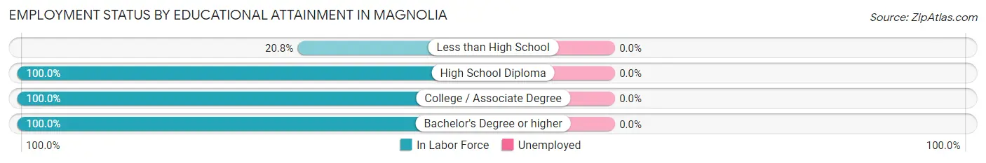 Employment Status by Educational Attainment in Magnolia