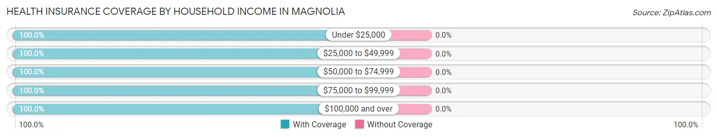 Health Insurance Coverage by Household Income in Magnolia