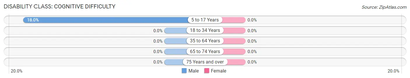 Disability in Mayking: <span>Cognitive Difficulty</span>