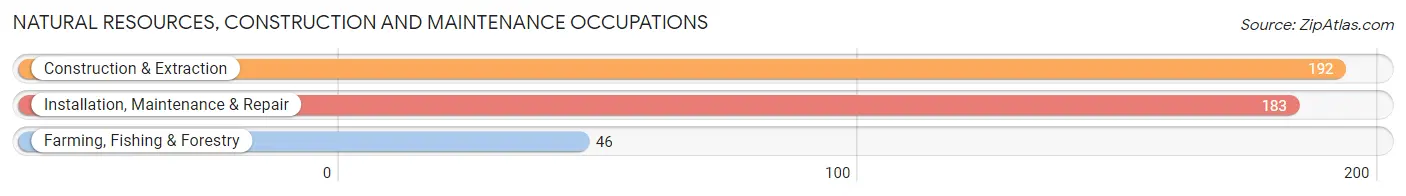 Natural Resources, Construction and Maintenance Occupations in Newport