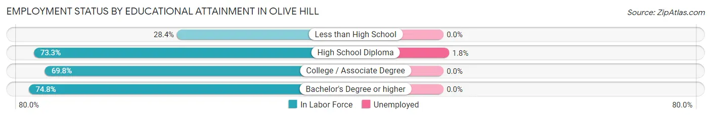 Employment Status by Educational Attainment in Olive Hill