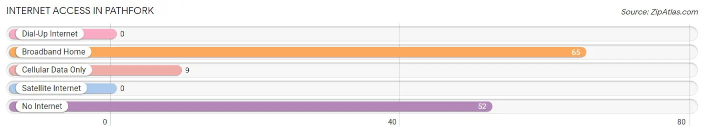 Internet Access in Pathfork