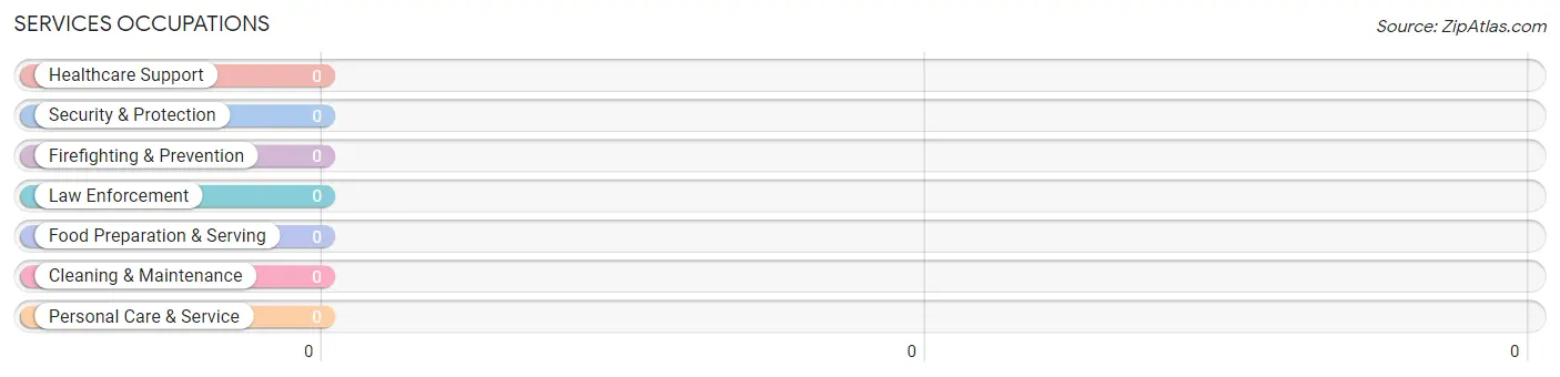 Services Occupations in Payne Gap