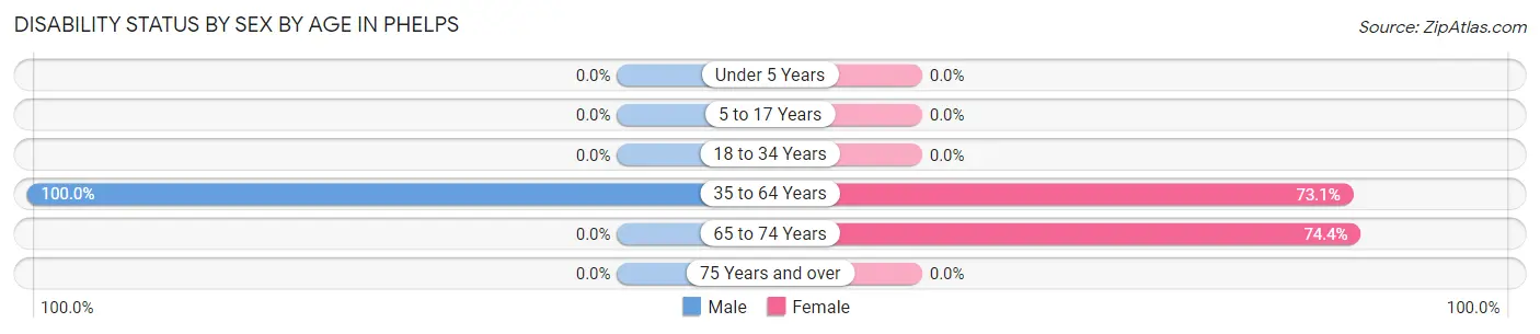 Disability Status by Sex by Age in Phelps