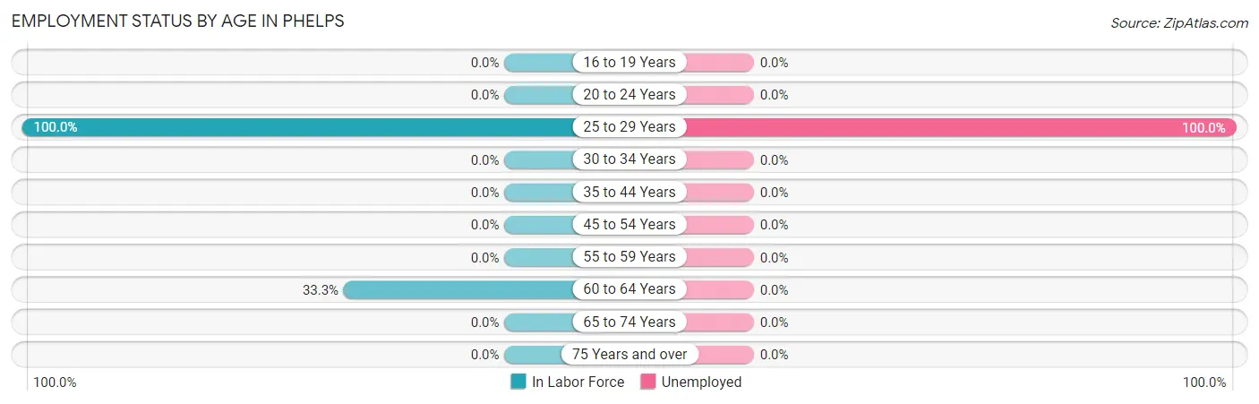 Employment Status by Age in Phelps