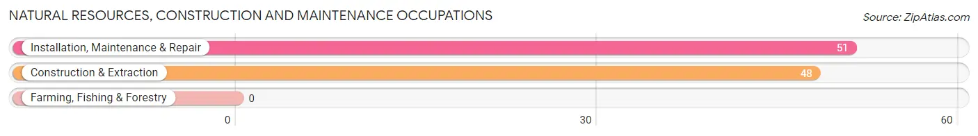 Natural Resources, Construction and Maintenance Occupations in Pikeville