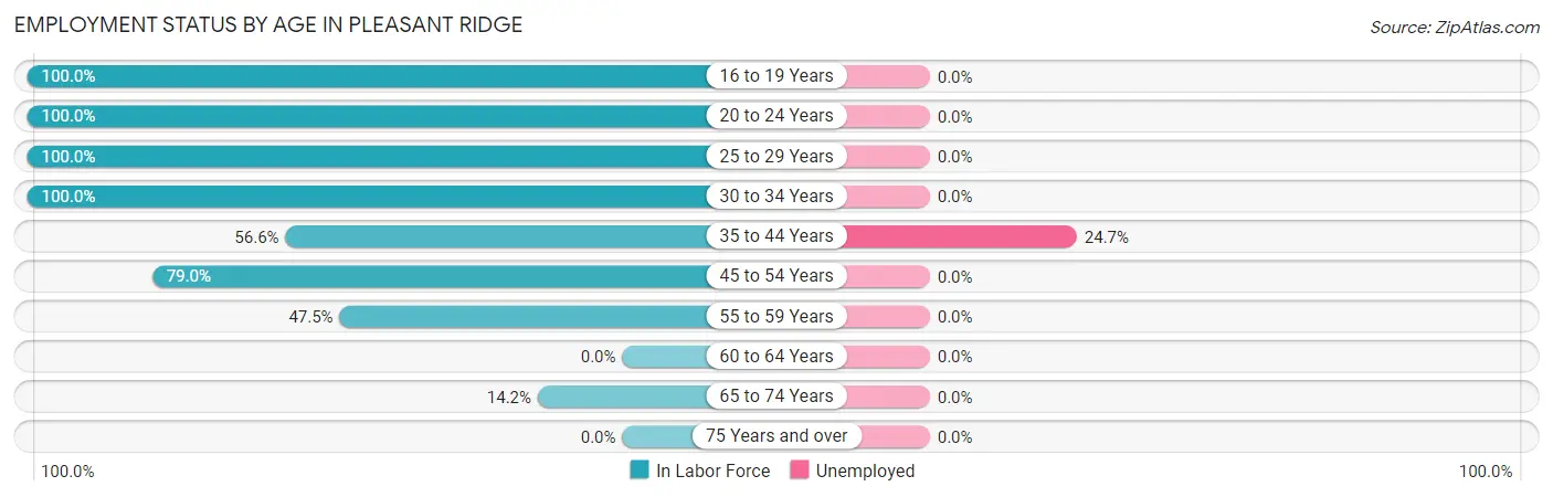 Employment Status by Age in Pleasant Ridge