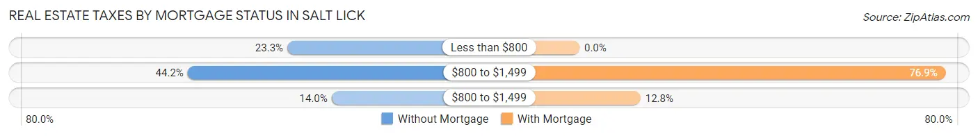 Real Estate Taxes by Mortgage Status in Salt Lick