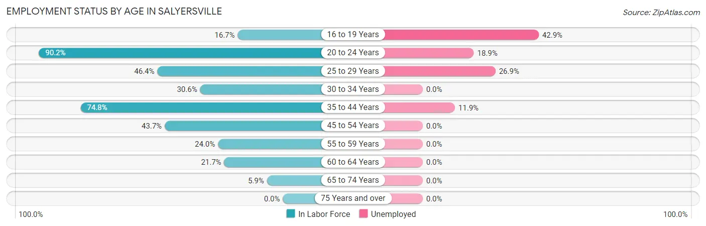 Employment Status by Age in Salyersville