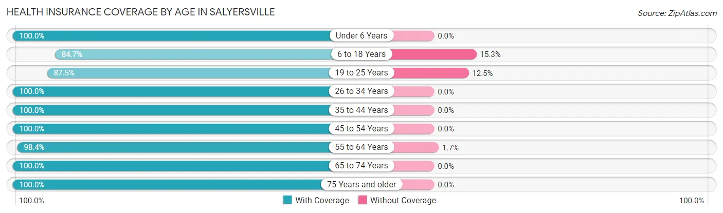 Health Insurance Coverage by Age in Salyersville