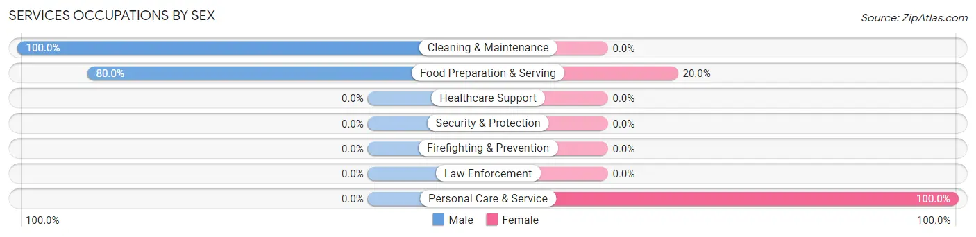 Services Occupations by Sex in Salyersville