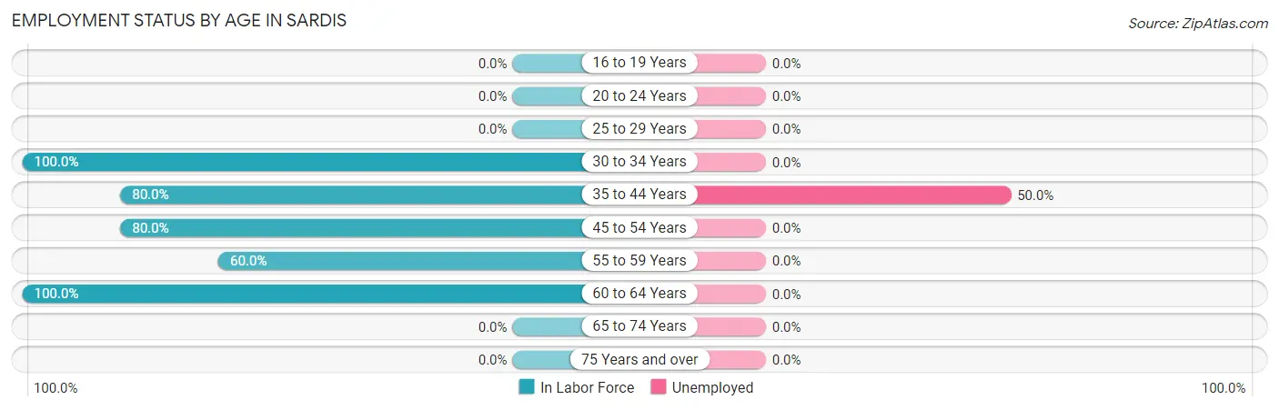 Employment Status by Age in Sardis