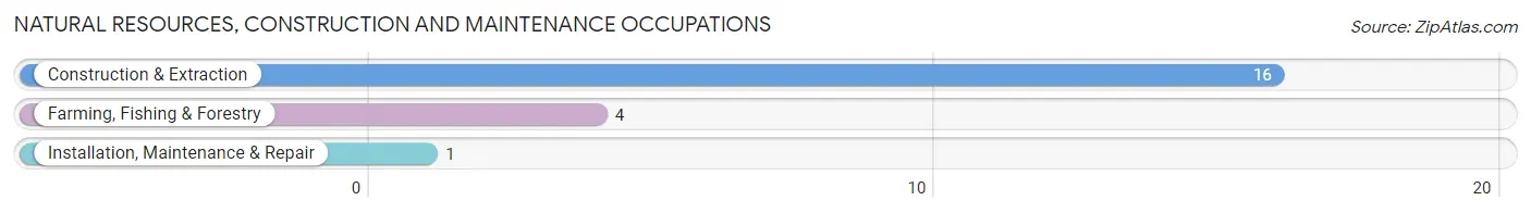 Natural Resources, Construction and Maintenance Occupations in Smithland