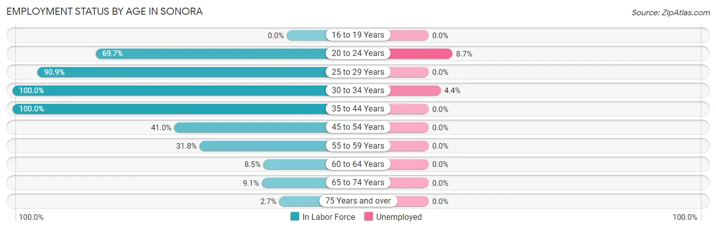 Employment Status by Age in Sonora